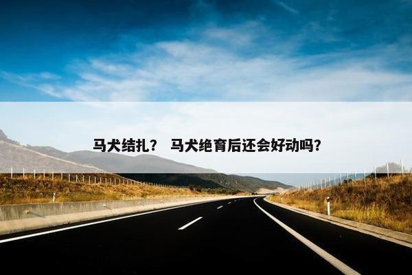 马犬结扎？ 马犬绝育后还会好动吗？