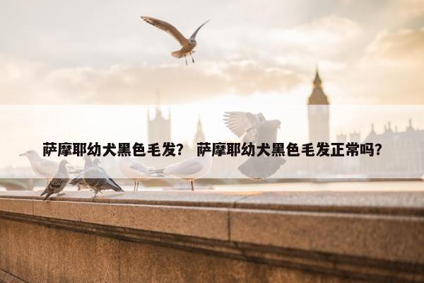 萨摩耶幼犬黑色毛发？ 萨摩耶幼犬黑色毛发正常吗？