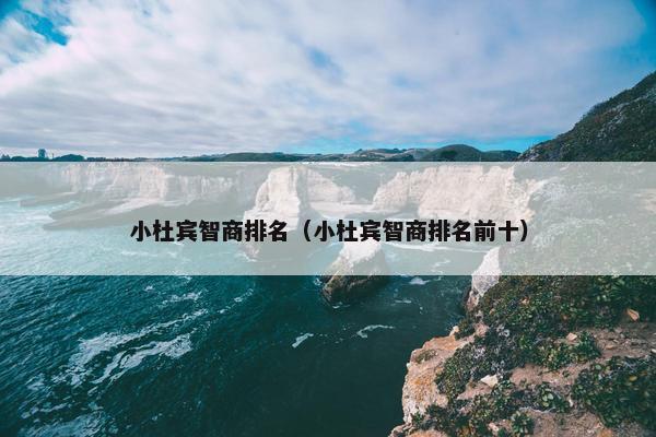 小杜宾智商排名（小杜宾智商排名前十）