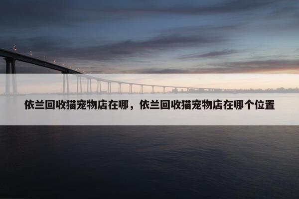 依兰回收猫宠物店在哪，依兰回收猫宠物店在哪个位置