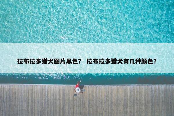 拉布拉多猎犬图片黑色？ 拉布拉多猎犬有几种颜色？