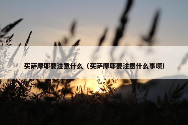 买萨摩耶要注意什么（买萨摩耶要注意什么事项）