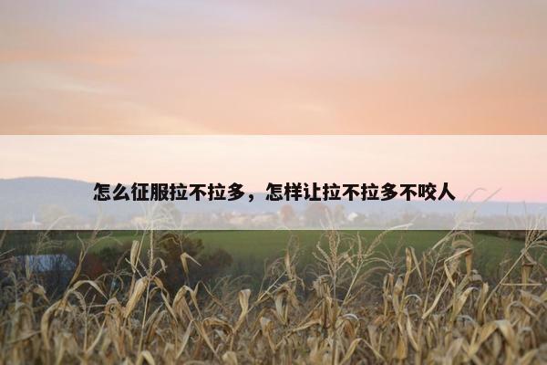 怎么征服拉不拉多，怎样让拉不拉多不咬人