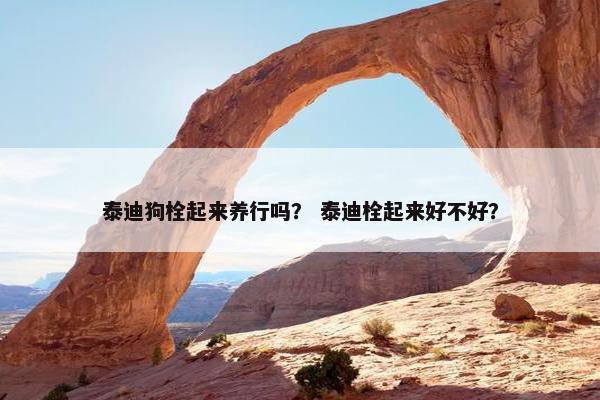 泰迪狗栓起来养行吗？ 泰迪栓起来好不好？