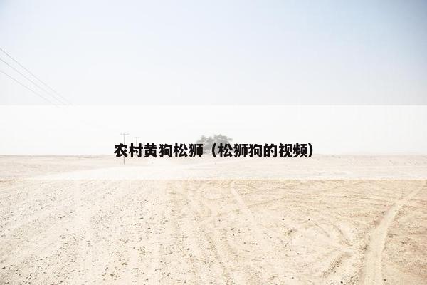 农村黄狗松狮（松狮狗的视频）