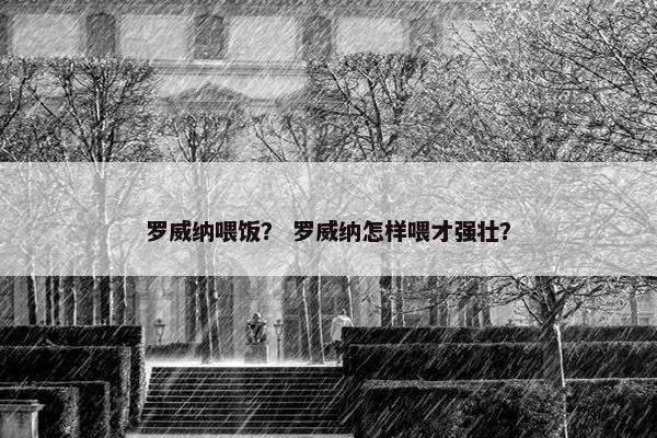罗威纳喂饭? 罗威纳怎样喂才强壮?