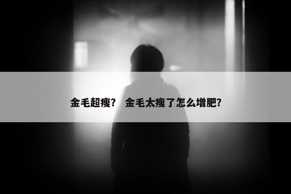 金毛超瘦？ 金毛太瘦了怎么增肥？