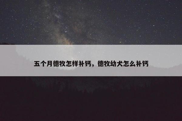 五个月德牧怎样补钙，德牧幼犬怎么补钙