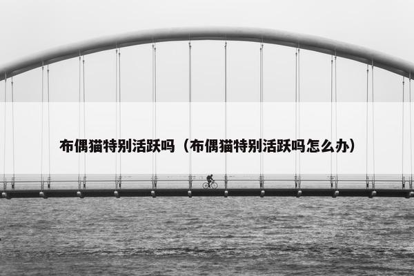 布偶猫特别活跃吗（布偶猫特别活跃吗怎么办）