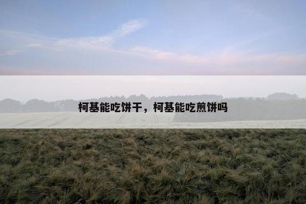 柯基能吃饼干，柯基能吃煎饼吗