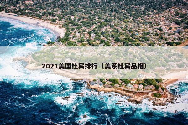 2021美国杜宾排行(美系杜宾品相)