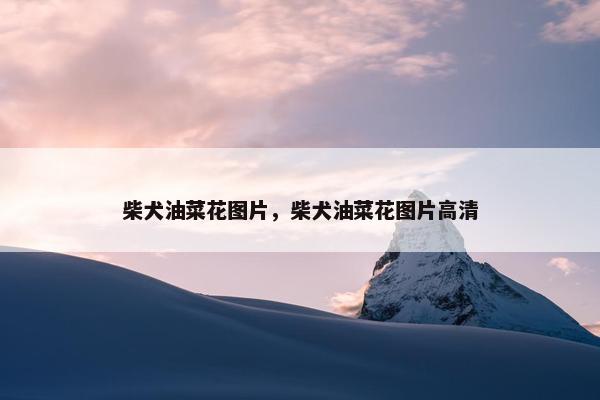 丙烷