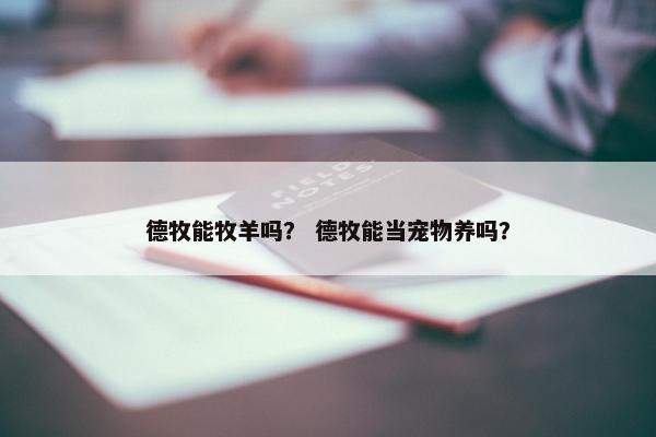 德牧能牧羊吗？ 德牧能当宠物养吗？