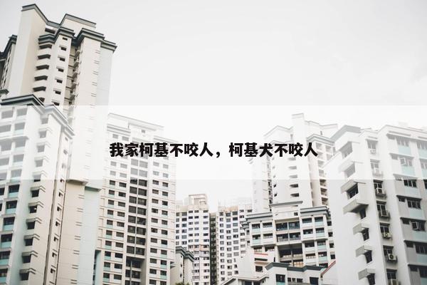 我家柯基不咬人，柯基犬不咬人