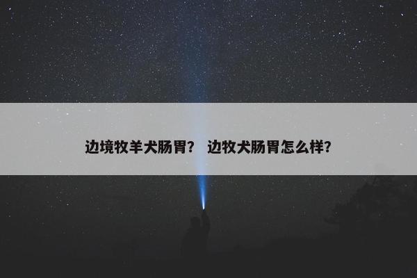 边境牧羊犬肠胃？ 边牧犬肠胃怎么样？
