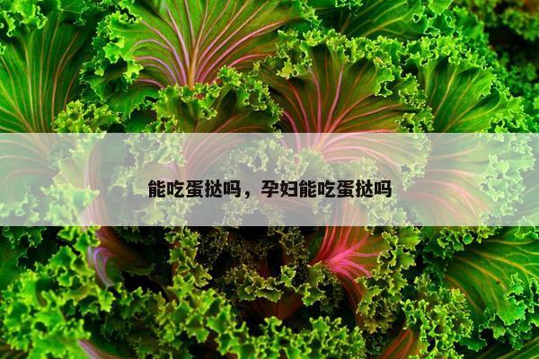 能吃蛋挞吗，孕妇能吃蛋挞吗