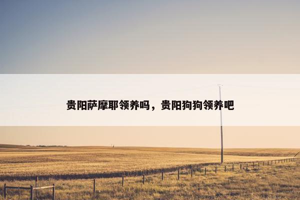 贵阳萨摩耶领养吗，贵阳狗狗领养吧