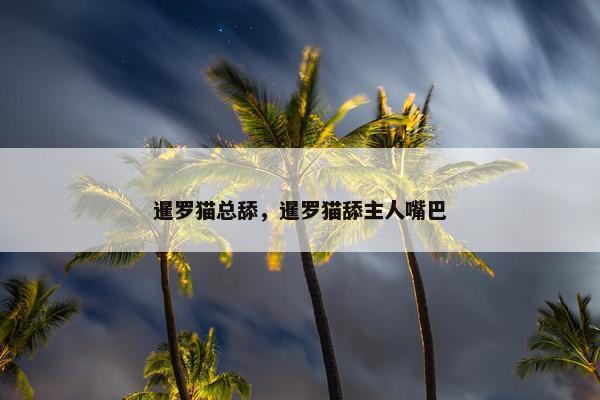 暹罗猫总舔，暹罗猫舔主人嘴巴