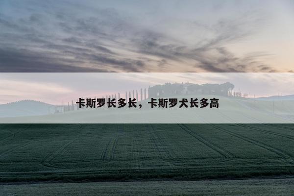 卡斯罗长多长，卡斯罗犬长多高