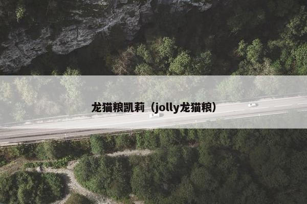 龙猫粮凯莉（jolly龙猫粮）