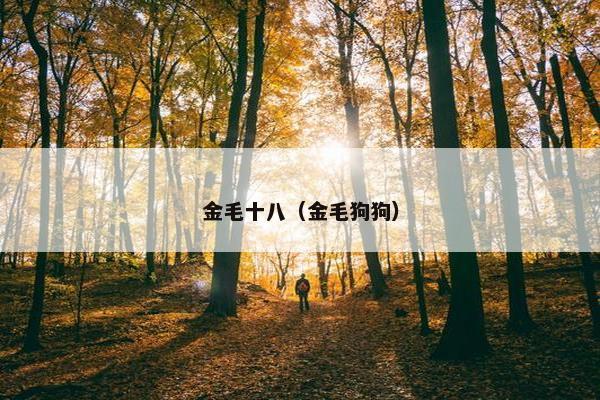金毛十八（金毛狗狗）