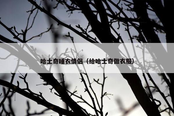 哈士奇睡衣情侣（给哈士奇做衣服）