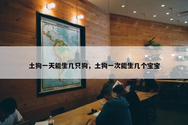 土狗一天能生几只狗，土狗一次能生几个宝宝