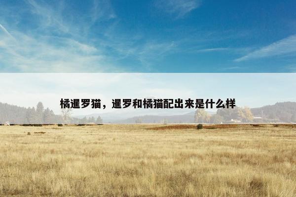 橘暹罗猫，暹罗和橘猫配出来是什么样