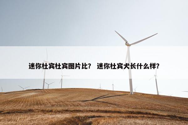 迷你 第5页