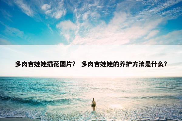 多肉吉娃娃插花图片? 多肉吉娃娃的养护方法是什么?