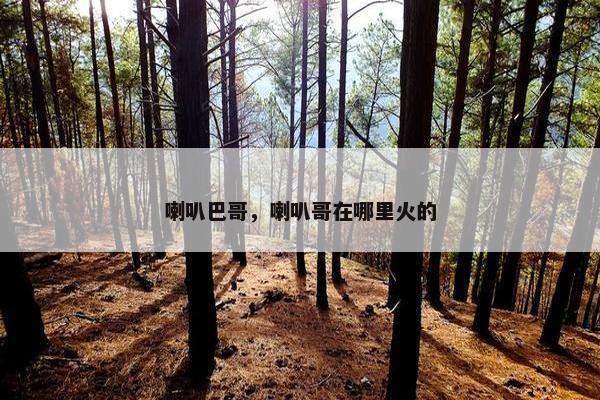 喇叭巴哥,喇叭哥在哪里火的