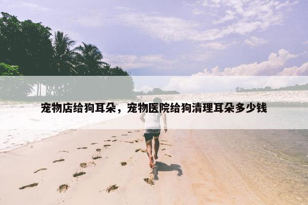宠物店给狗耳朵，宠物医院给狗清理耳朵多少钱