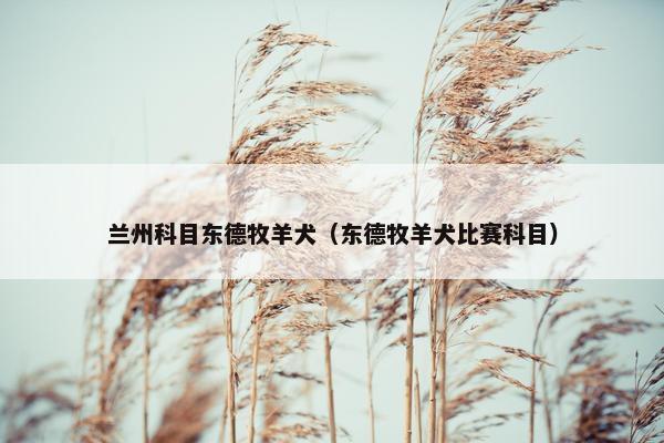 兰州科目东德牧羊犬(东德牧羊犬比赛科目)