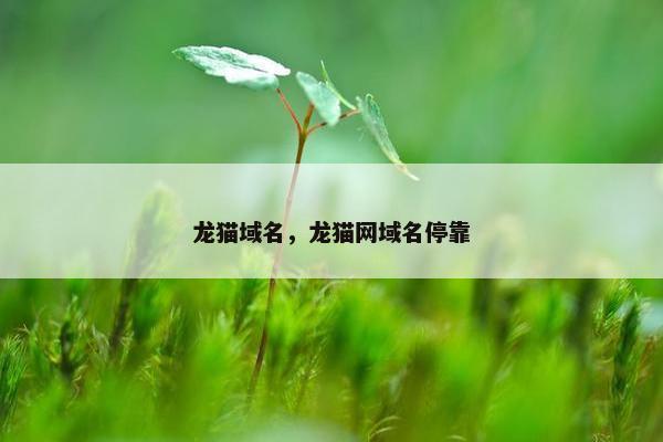 龙猫域名，龙猫网域名停靠