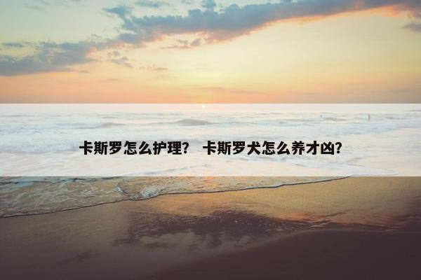 卡斯罗怎么护理？ 卡斯罗犬怎么养才凶？