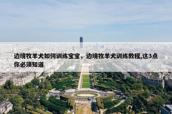 边境牧羊犬如何训练宝宝，边境牧羊犬训练教程,这3点你必须知道