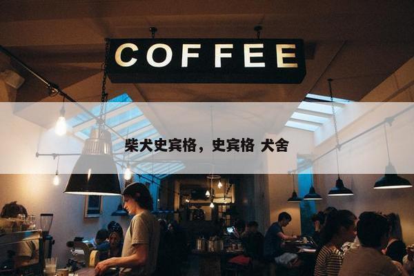 柴犬史宾格,史宾格 犬舍