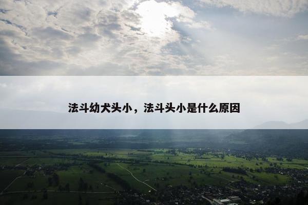 法斗幼犬头小，法斗头小是什么原因