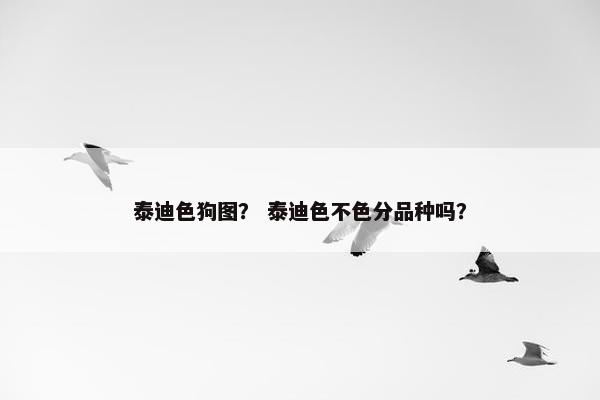 白色 第8页