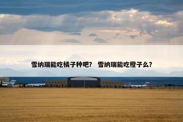 雪纳瑞能吃橘子种吧？ 雪纳瑞能吃橙子么？
