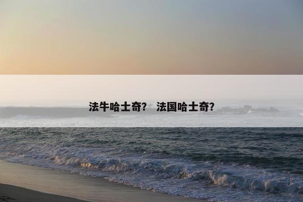 法牛哈士奇？ 法国哈士奇？