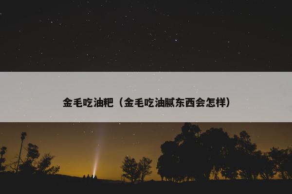 金毛吃油粑（金毛吃油腻东西会怎样）