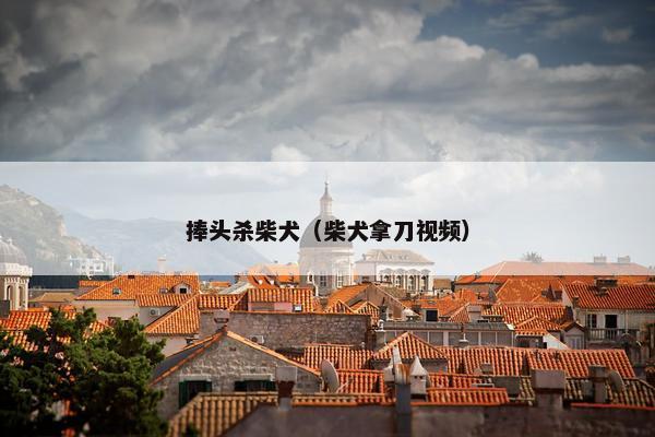 捧头杀柴犬(柴犬拿刀视频)