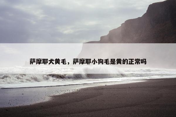 萨摩耶犬黄毛，萨摩耶小狗毛是黄的正常吗