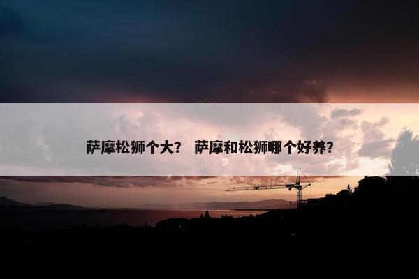 萨摩松狮个大？ 萨摩和松狮哪个好养？
