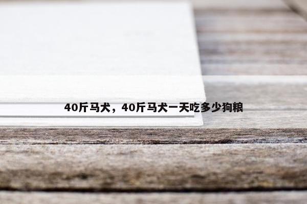 40斤马犬，40斤马犬一天吃多少狗粮