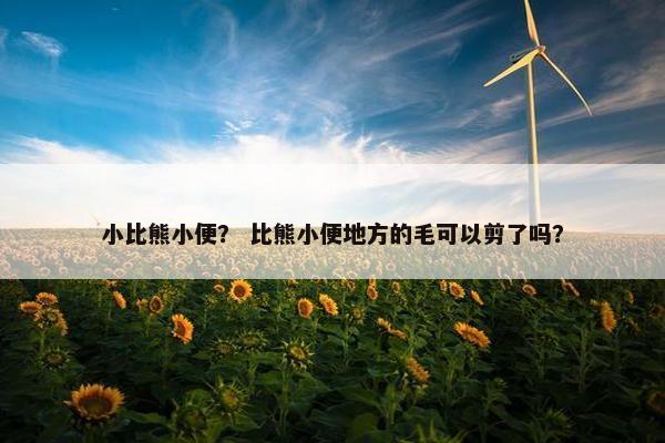 小比熊小便？ 比熊小便地方的毛可以剪了吗？