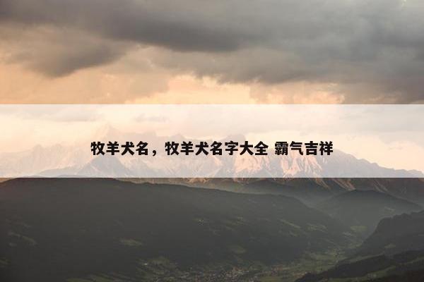 牧羊犬名，牧羊犬名字大全 霸气吉祥