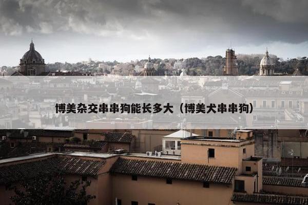 博美杂交串串狗能长多大(博美犬串串狗)