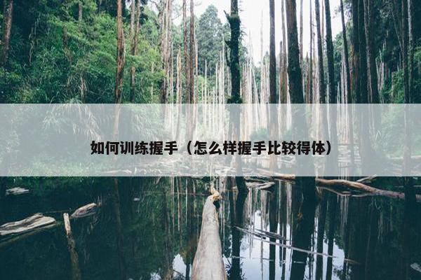 如何训练握手(怎么样握手比较得体)